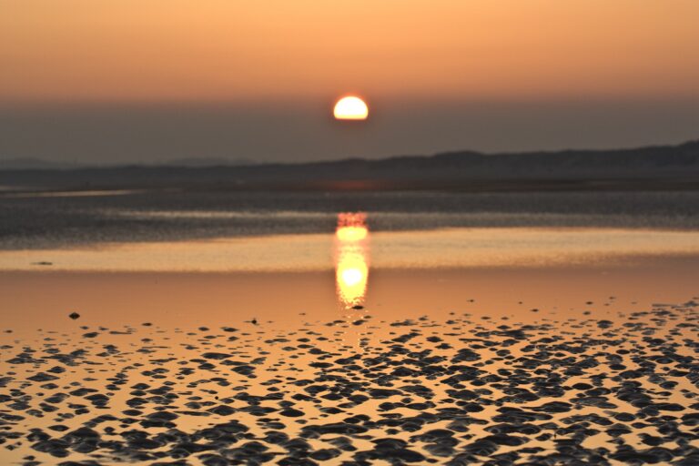 Camber Sands